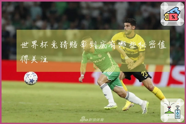 世界杯竞猜赔率到底有哪些秘密值得关注