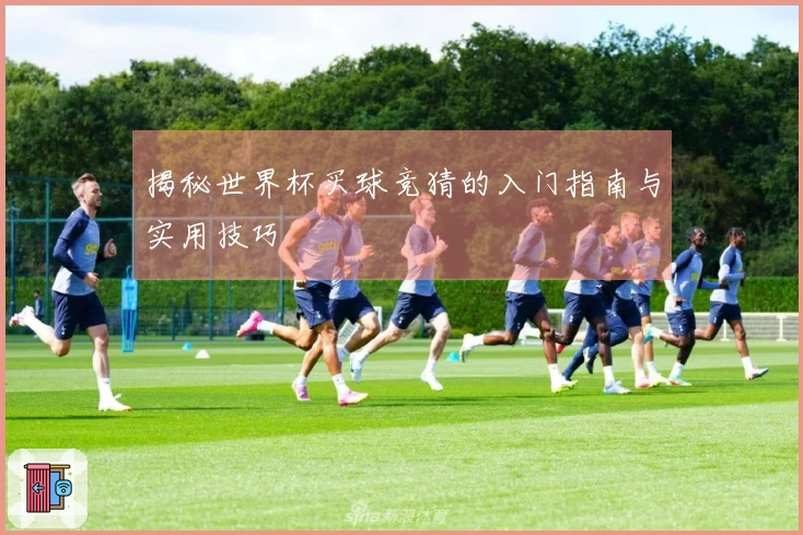 揭秘世界杯买球竞猜的入门指南与实用技巧