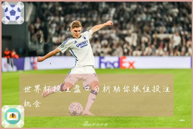 世界杯投注盘口分析助你抓住投注机会