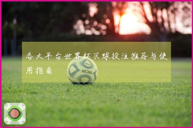 各大平台世界杯买球投注推荐与使用指南