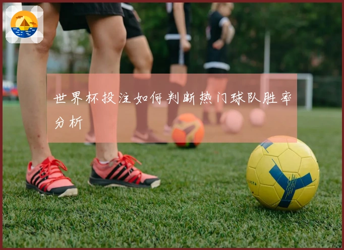 世界杯投注如何判断热门球队胜率分析