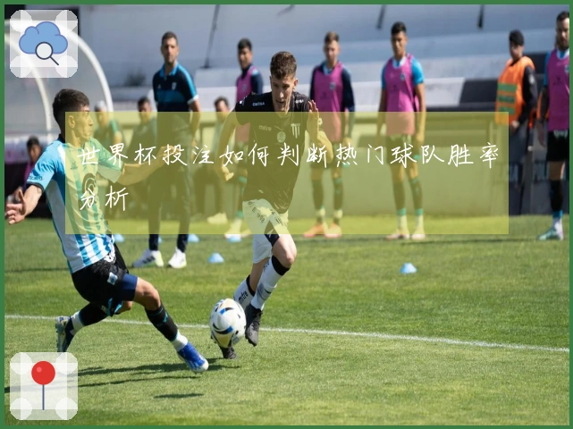 世界杯投注如何判断热门球队胜率分析