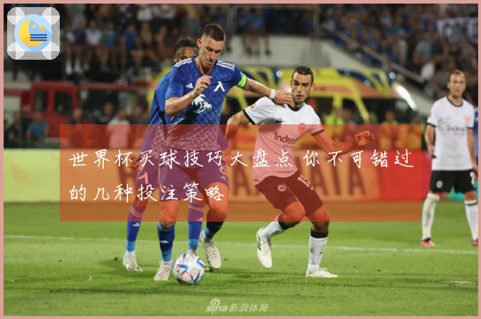 世界杯买球技巧大盘点 你不可错过的几种投注策略