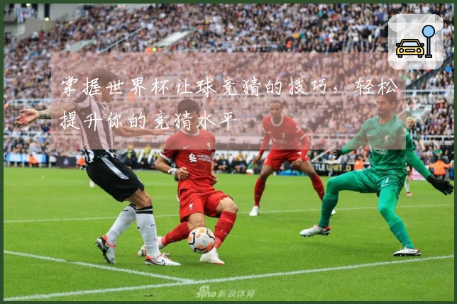 掌握世界杯让球竞猜的技巧，轻松提升你的竞猜水平
