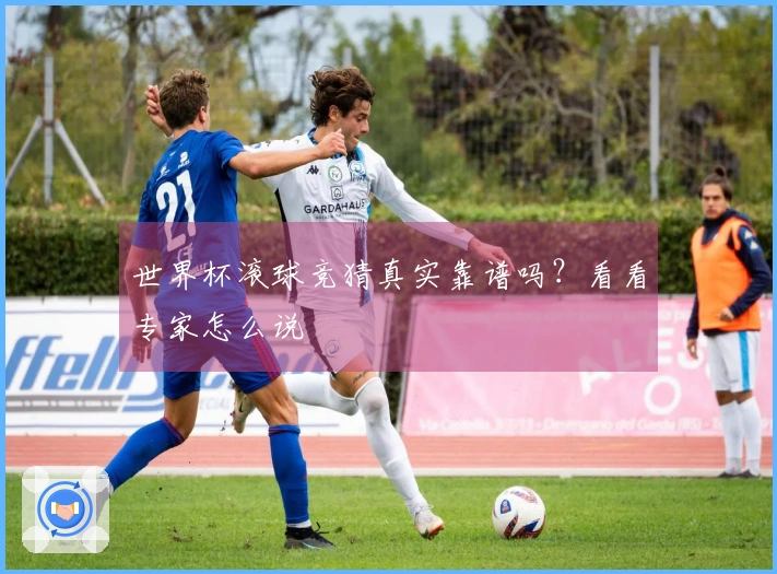 世界杯滚球竞猜真实靠谱吗？看看专家怎么说