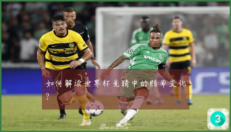 如何解读世界杯竞猜中的赔率变化？