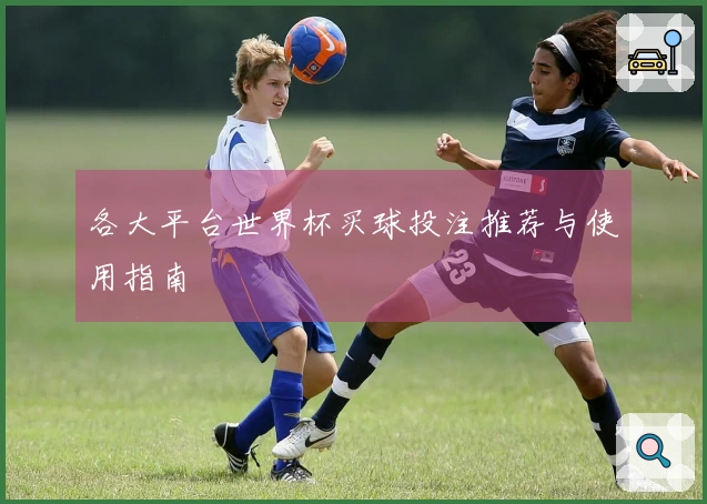 各大平台世界杯买球投注推荐与使用指南
