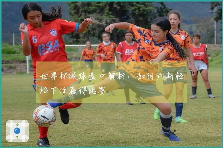 世界杯滚球盘口解析，如何判断轻松下注赢得比赛