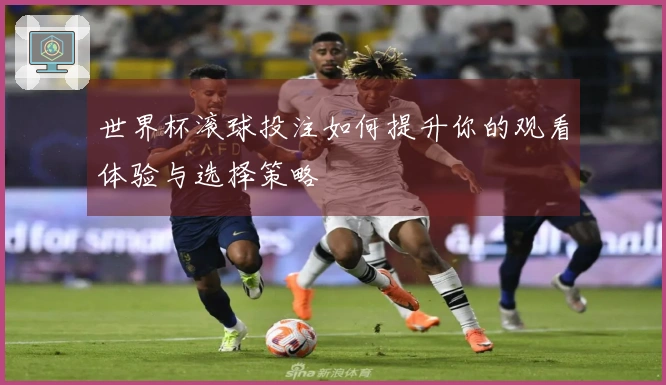 世界杯滚球投注如何提升你的观看体验与选择策略