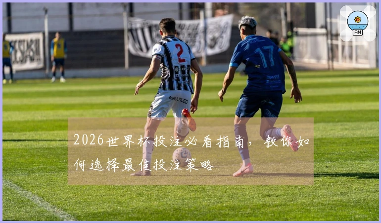 2026世界杯投注必看指南，教你如何选择最佳投注策略